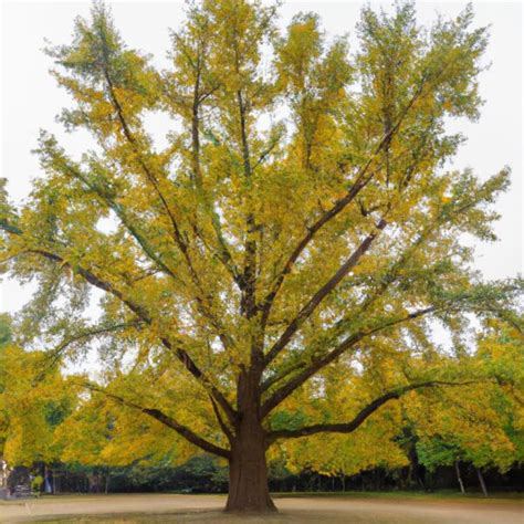 Pal World's Enigmatic Giant Tree: A Towering Marvel