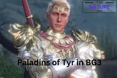 Paladins of Tyr: Guardians of Justice in Baldur's Gate 3