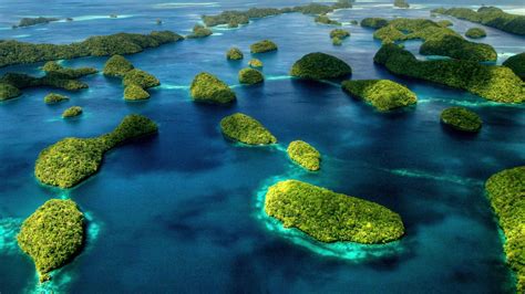 Palau's Marine Sanctuary: A Bioluminescent Wonderland