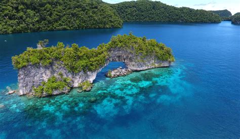 Palau: An Unforgettable Dive Destination