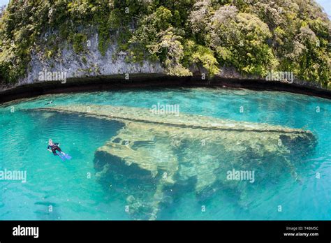 Palau is renowned for its exceptional marine biodiversity.