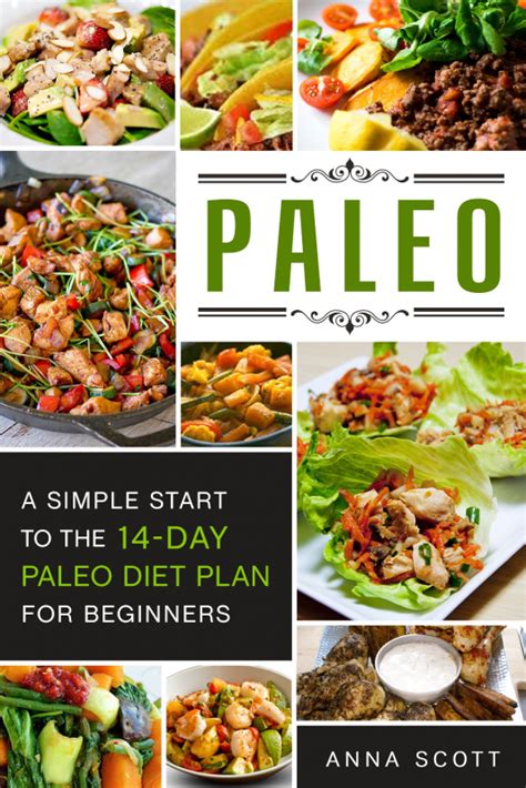 Paleo A Simple Start To The 14-Day Paleo Diet Plan For Beginnerspaleo books Paleo Diet Paleo Diet For Beginners Paleo Diet Cookbook Paleo Diet Recipes Slow Cooker Cookbook delicious recipes 3 PDF
