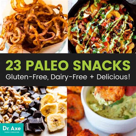Paleo Cookbook 101 Delicious Gluten-Free Dairy-Free and Grain Free Paleo Recipes to Lose Weight and Feel Great Reader