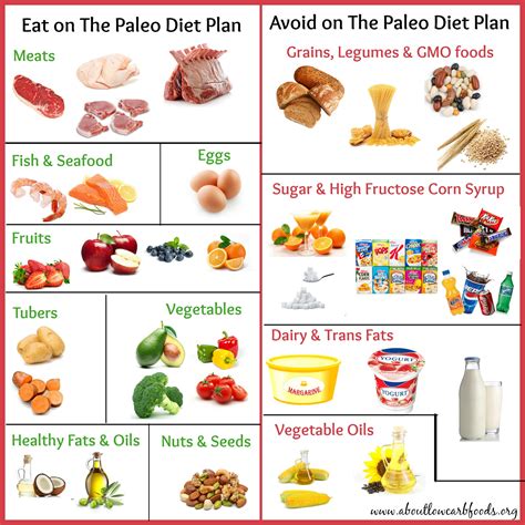 Paleo Diet How To Use Paleo Diet And Lose Weight While Getting Healthy With 15 Recipes Doc