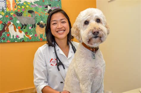 Palisades Veterinary: Top-Rated Pet Care in Washington DC