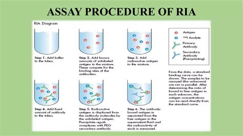 Palladium RIA: A Revolutionary Approach to Immunoassays with Unparalleled Sensitivity and Accuracy