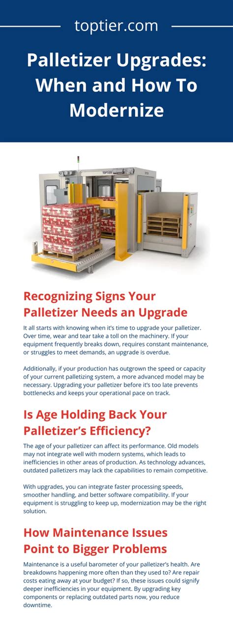 Palletizer Automatic: A Modern Guide for Efficient Operations