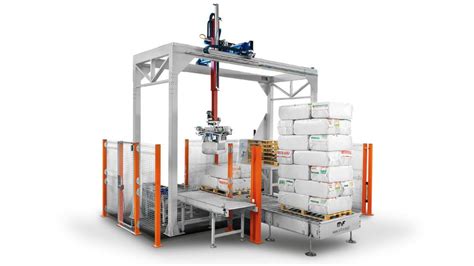 Palletizer Machine: The Ultimate Guide to 10,000+ Units Sold