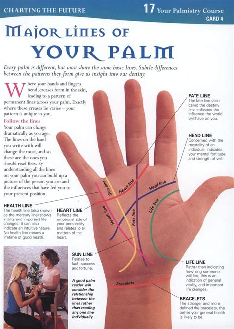 Palm Reading Guide For Life Reader