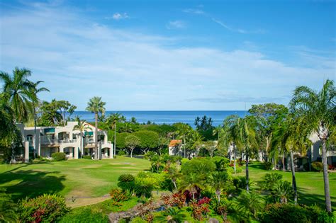 Palms at Wailea Maui: 101 Ways to Unleash the Tropical Paradise