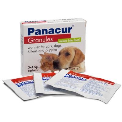 Panacur Granules for Dogs: Your Guide to Effective Deworming