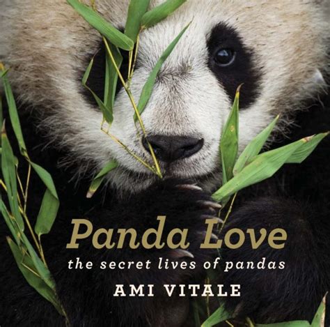 Panda Love 2025: The Secret Lives of Pandas in the Wild