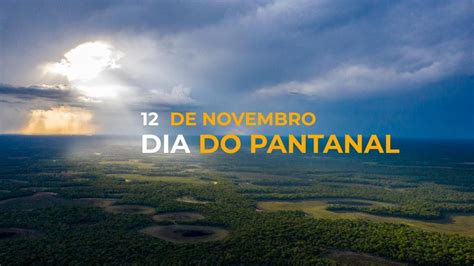 Pantanal Bet: Oportunidade de Investimento no Bioma Mais Rique do Mundo