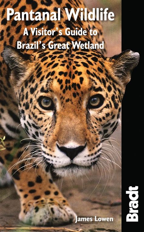 Pantanal Wildlife: A Visitor's Guide to Brazil's Great Wet Epub