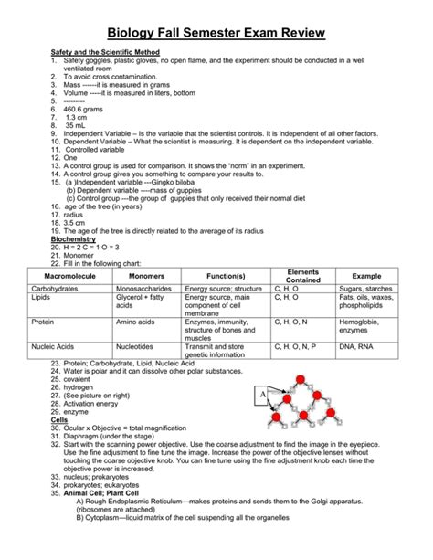 Pap Biology Fall Semester Exam Review Answers Doc