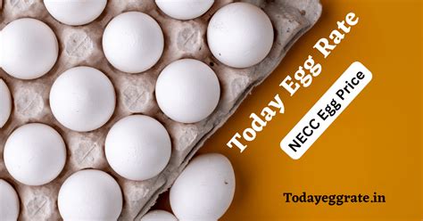 Papaak Egg Rate: Your One-Stop Shop for Up-to-Date Egg Prices in India