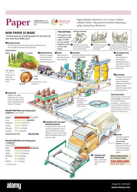 Paper Consumption and Production Trends