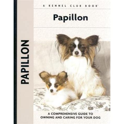 Papillon-X: A Comprehensive Guide to Mastering the Canine Companion