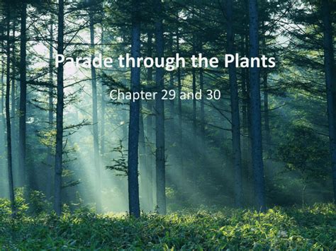 Parade Through The Plants Answer Key PDF