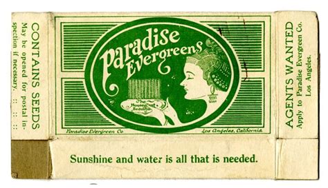 Paradise Evergreens Doc