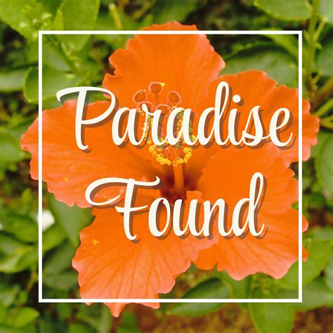 Paradise Found Or Kindle Editon