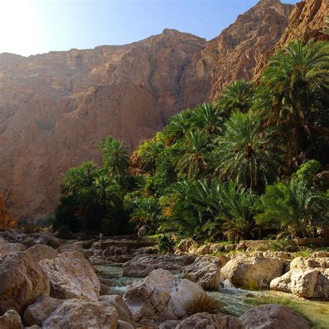 Paradise Jordan: An Oasis in the Middle East