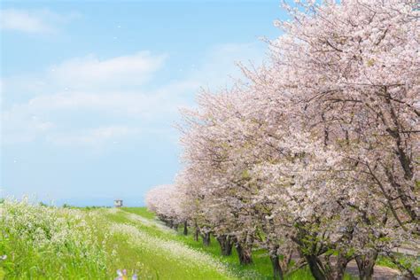 Paradise of Japan 25: Discover the Enchanting Destinations for an Extraordinary Vacation