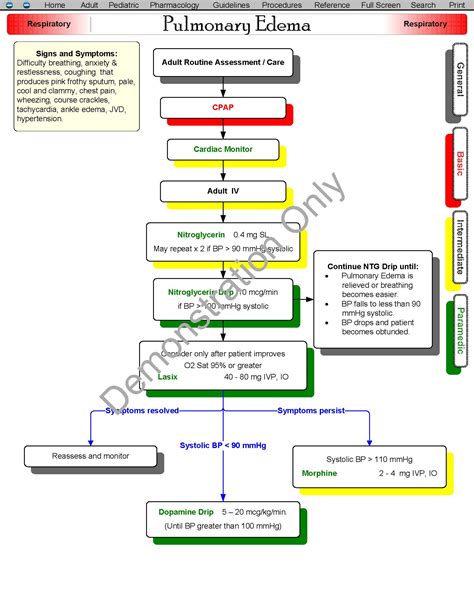 Paramedic Protocols Doc