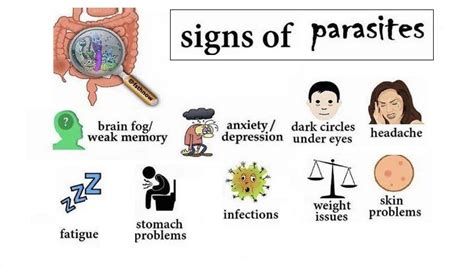 Parasitic Diseases Doc