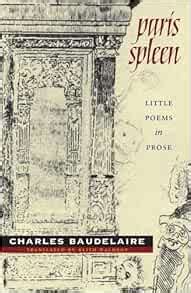 Paris Spleen: little poems in prose (Wesleyan Poetry) Reader
