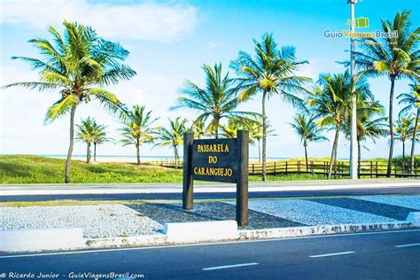 Parque Atalaia: Um guia completo para o maior oásis verde de Aracaju