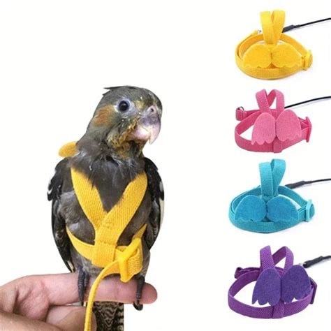 Parrot Toys: A Comprehensive Guide to Essential Playthings for Your Feathered Friend