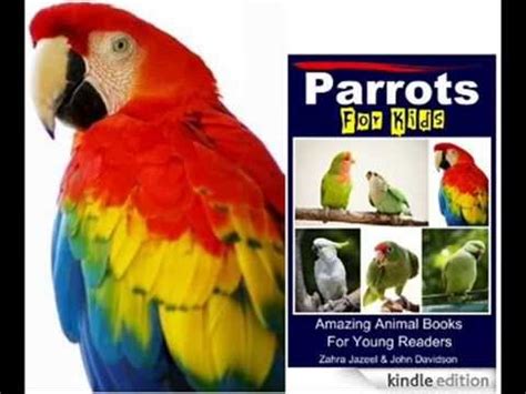 Parrots For Kids Amazing Animal Books For Young Readers Epub