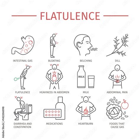 Part 1: The Science of Flatulence