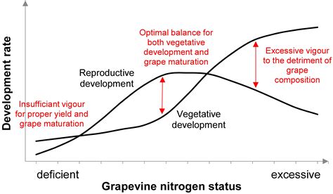 Part 1: Understanding Grapevine Nutrition