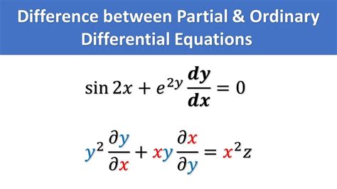 Partial Differential Equations through Examples and Exercises 1st Edition Reader
