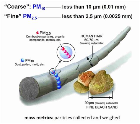 Particulate Matter (PM10 and PM2.5)