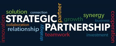 Partnering Intelligence Creating Value for Your Business by Building Strong Alliances Reader