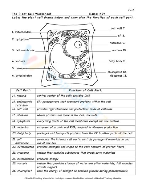 Parts Of Eukaryotic Cell Answer Key Reader