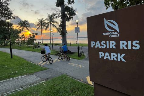 Pasir Ris Park: Your Oasis for Recreation and Relaxation