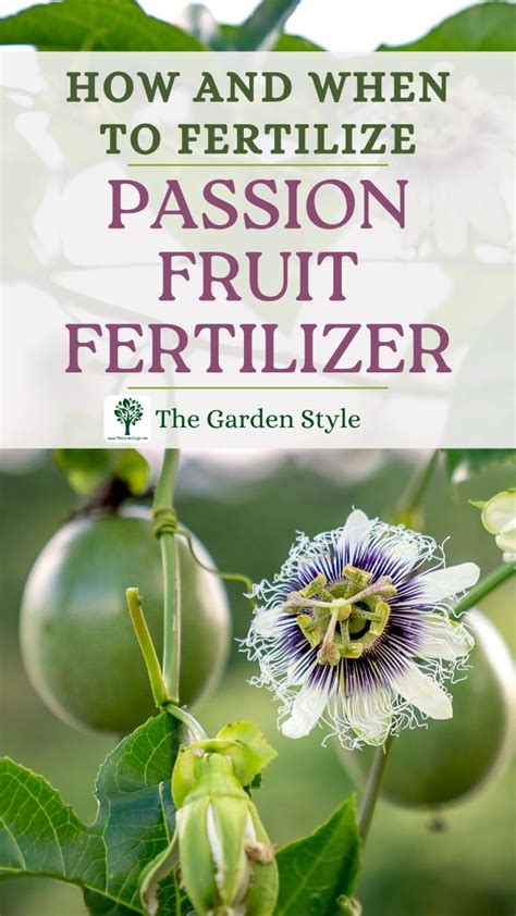 Passion Fruit Fertilizer: A Comprehensive Guide to Nourishing Your Vines