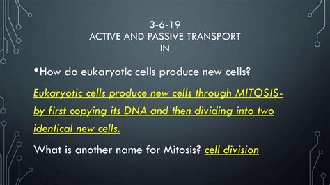 Passive: Cell Division