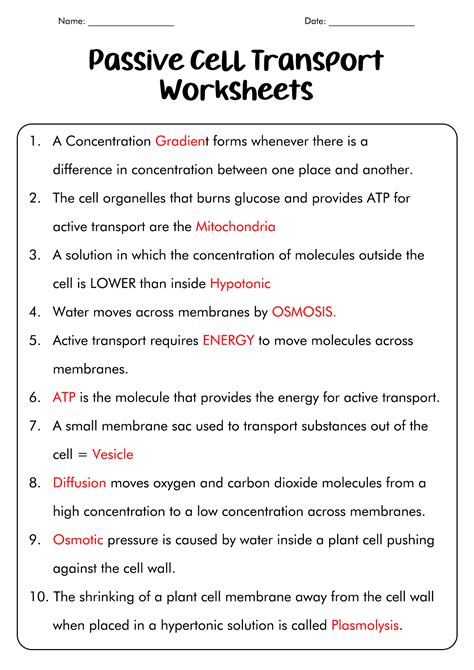 Passive And Active Transport Worksheet Answers PDF