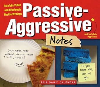 Passive-Aggressive Notes 2013 Box Daily calendar Doc