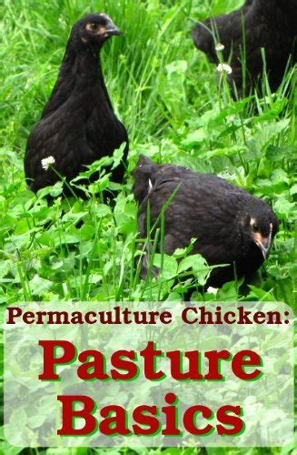 Pasture Basics How to Keep the Grass Green and Your Chickens Happy Permaculture Chicken Book 2 Reader