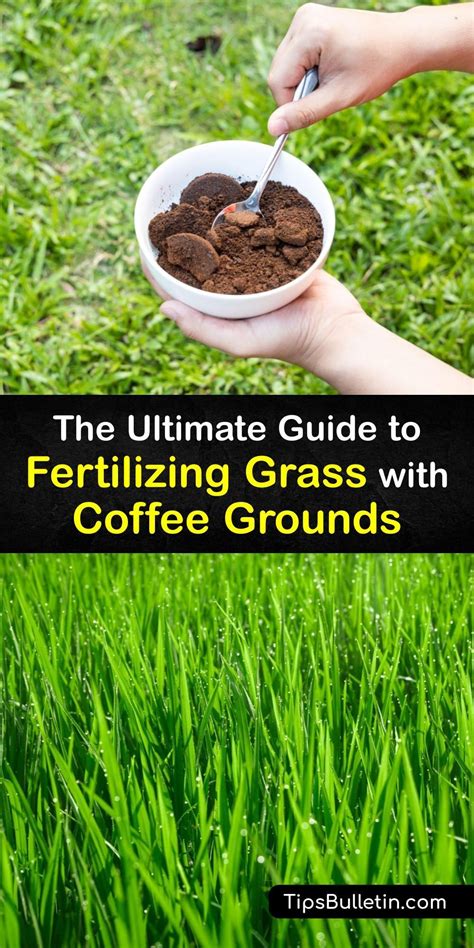 Pasture Fertilizer: The Ultimate 4-in-1 Guide