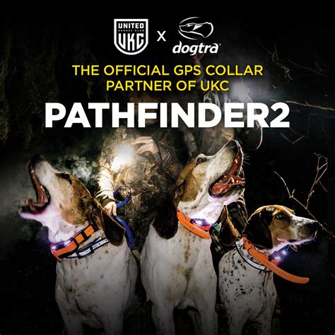 Pathfinder Dog Collar: Your Guide to Finding the Perfect Collar for Safety and Peace of Mind