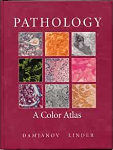 Pathology - A Color Atlas Kindle Editon