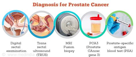 Pathology of the Prostate A Physician&am Epub