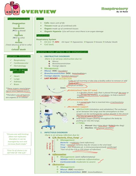 Pathology of the Respiratory System: An In-Depth Guide to 5 Major Diseases